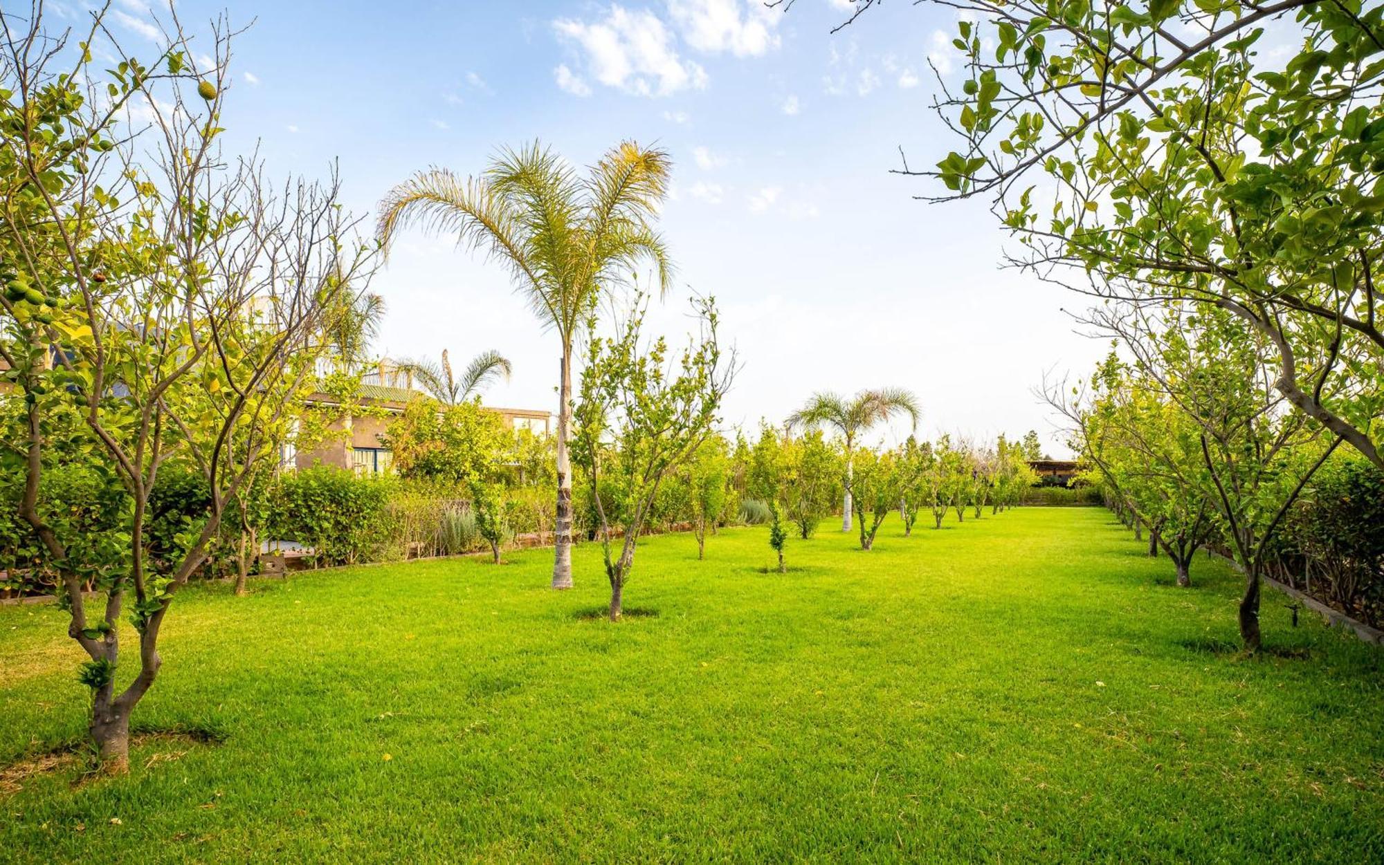 The Lemonary Marrakech Hotel Ouled Moumen Exterior photo