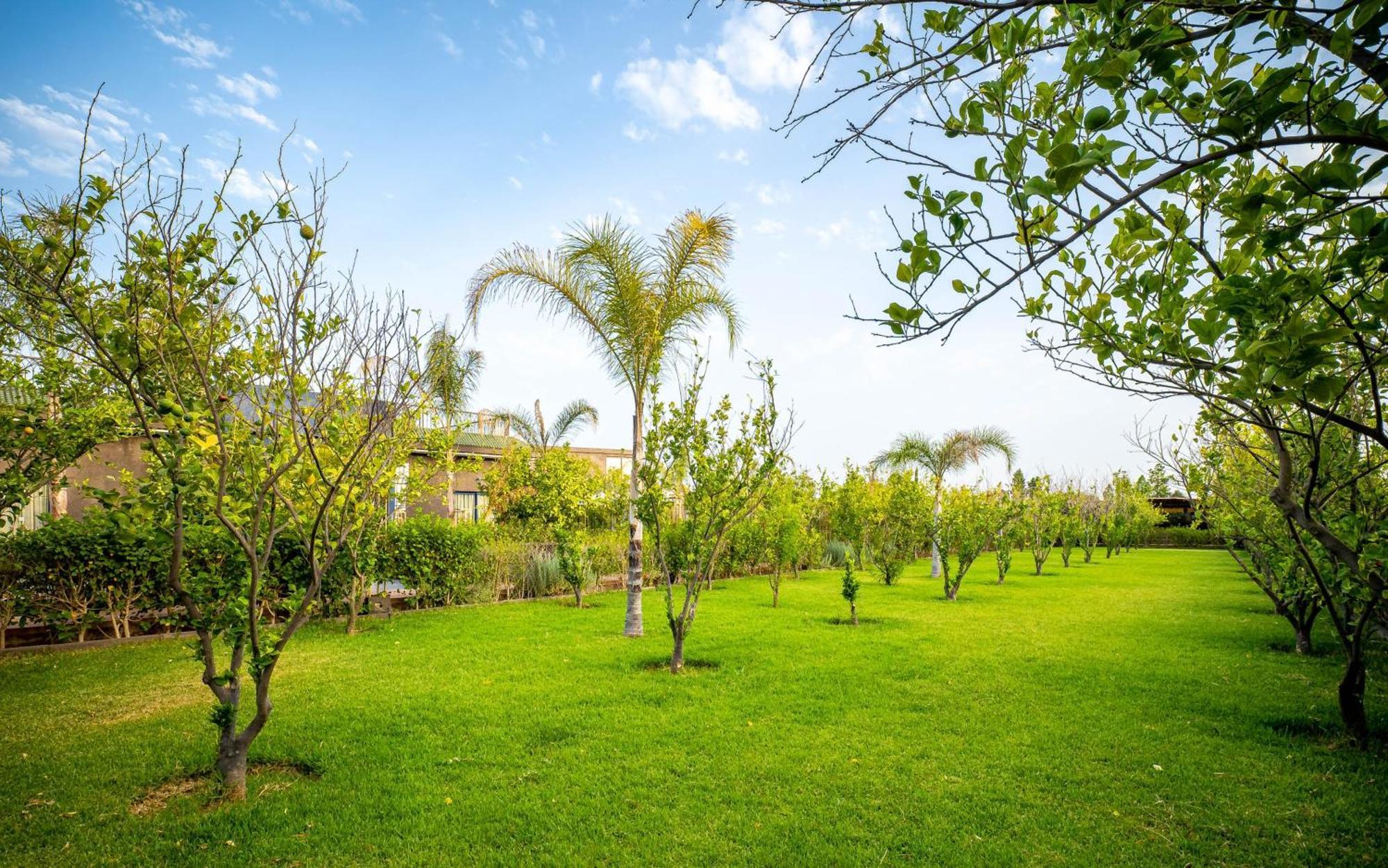 The Lemonary Marrakech Hotel Ouled Moumen Exterior photo