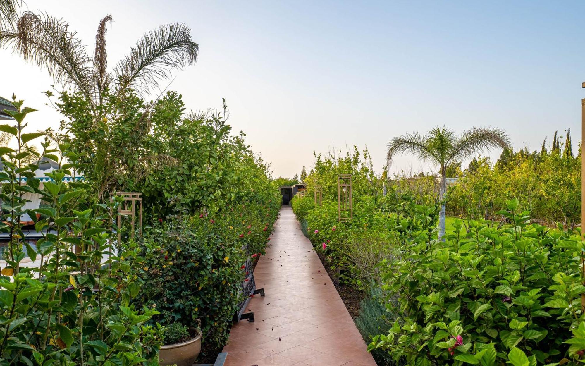 The Lemonary Marrakech Hotel Ouled Moumen Exterior photo